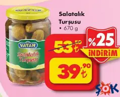 SALATALIK TURŞUSU 670 G indirimli fiyat SALATALIK TURŞUSU 670 G fiyat ve kampanya bilgisi